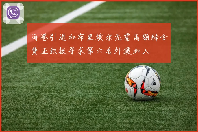 海港引进加布里埃尔无需高额转会费正积极寻求第六名外援加入